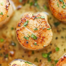 Load image into Gallery viewer, wild scallops canada