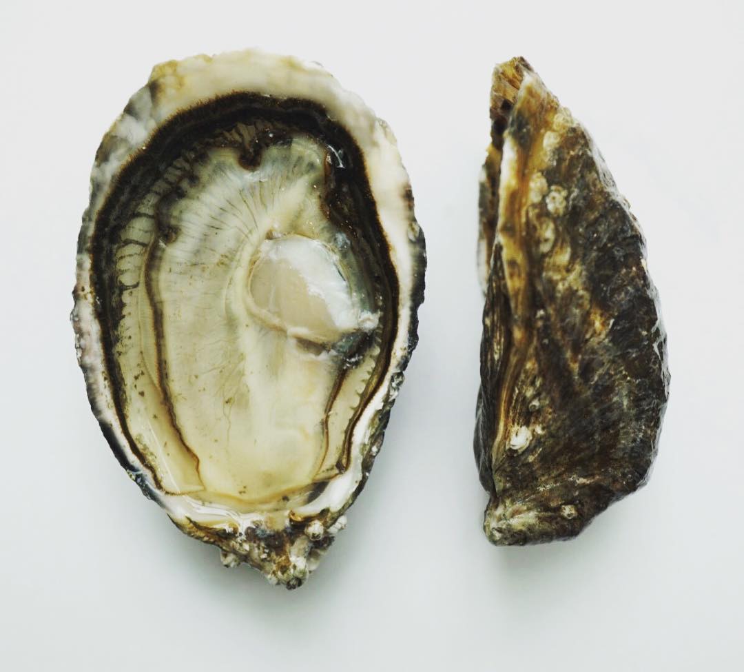 Fat Bastard Oysters Pacific Wild Pick