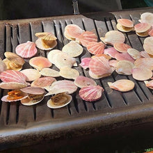 Load image into Gallery viewer, Pacific wild scallops