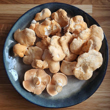 Load image into Gallery viewer, Fresh Hedgehog Mushroom.