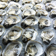 Load image into Gallery viewer, buy oysters near me