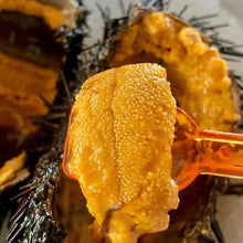 Load image into Gallery viewer, Sashimi Urchin pacific wild pick
