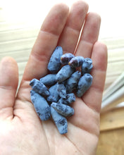 Load image into Gallery viewer, Blue Honeysuckle Berry Syrup