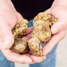 Load image into Gallery viewer, alba truffle pacific wild pick