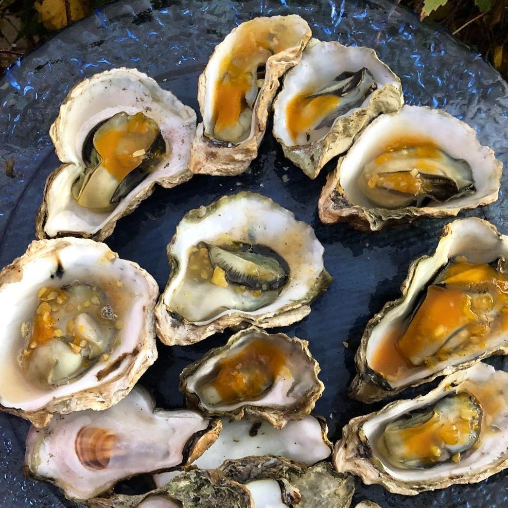 Kumamoto Oysters Pacific Wild Pick