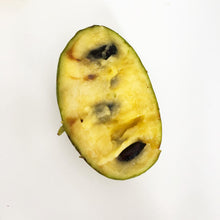 Load image into Gallery viewer, Paw paw USA