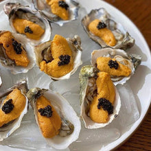 Load image into Gallery viewer, Wild sea Urchin Roe import