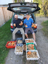Load image into Gallery viewer, Wild Forage Walk - Revelstoke BC.