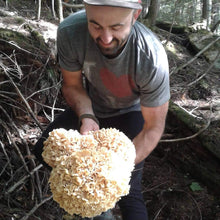 Load image into Gallery viewer, Wild Forage Walk - Southern ON.