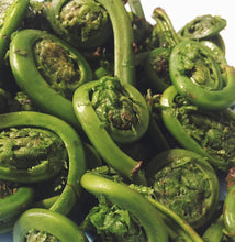 Load image into Gallery viewer, Premium quality fiddleheads