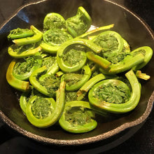 Load image into Gallery viewer, fiddlehead ferns