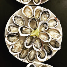 Load image into Gallery viewer, Kusshi Oysters Canada