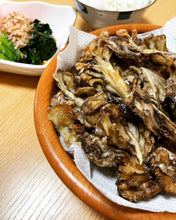 Load image into Gallery viewer, Buy Mushrooms USA