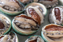 Load image into Gallery viewer, Australian Abalone- Next Day Shipping - Pacific Wild Pick