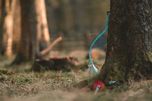 Load image into Gallery viewer, Birch Sap Syrup - Pacific Wild Pick