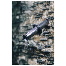 Load image into Gallery viewer, Birch Sap Syrup - Pacific Wild Pick
