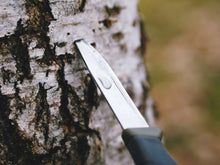 Load image into Gallery viewer, Birch Sap Syrup - Pacific Wild Pick