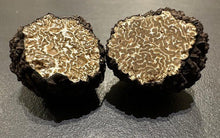 Load image into Gallery viewer, Burgundy Truffle (Tuber uncinatum) - Pacific Wild Pick