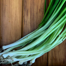 Load image into Gallery viewer, Wild onion Pacific wild pick