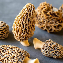 Load image into Gallery viewer, California Orchard Morel Mushrooms - Pacific Wild Pick