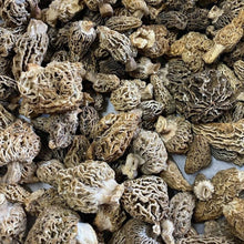 Load image into Gallery viewer, California Orchard Morel Mushrooms - Pacific Wild Pick