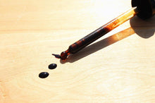 Load image into Gallery viewer, Chaga mushroom Tincture Low Alcohol - Pacific Wild Pick