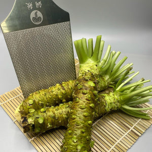Chef Quality Wasabi Root 山葵 - Next Day Shipping - Pacific Wild Pick