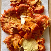 Load image into Gallery viewer, Chicken of the Woods Mushroom - Fresh - Pacific Wild Pick