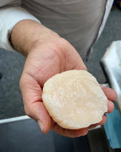 Load image into Gallery viewer, Diver Scallops In Shell - Pacific Wild Pick