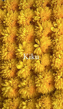 Load image into Gallery viewer, Edible Kogiku Flowers 小菊 - Pacific Wild Pick