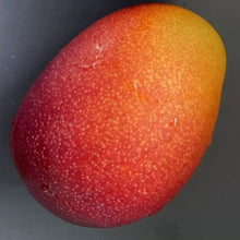 Load image into Gallery viewer, Egg of the Sun - Miyazaki Mango - Pacific Wild Pick