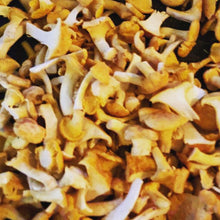 Load image into Gallery viewer, Fresh Chanterelle - Chef Quality - Pacific Wild Pick