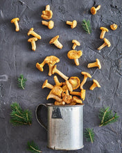 Load image into Gallery viewer, Fresh Chanterelle - Chef Quality - Pacific Wild Pick