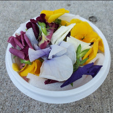 Load image into Gallery viewer, Fresh Edible Flowers - Pacific Wild Pick