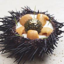 Load image into Gallery viewer, Fresh Hokkaido Bafun Uni - Pacific Wild Pick
