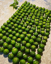 Load image into Gallery viewer, Fresh Sudachi from Japan 酢橘 - Pacific Wild Pick