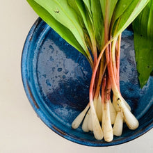 Load image into Gallery viewer, Fresh Wild Leeks aka Ramps - Pacific Wild Pick