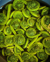 Load image into Gallery viewer, Frozen and cleaned Fiddleheads - Pacific Wild Pick
