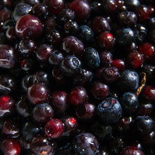 Load image into Gallery viewer, Frozen Huckleberry - Pacific Wild Pick
