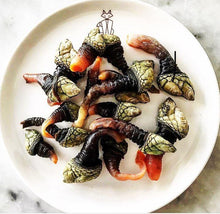 Load image into Gallery viewer, Percebes in salt water
