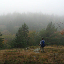 Load image into Gallery viewer, Wild Forage Walk - Revelstoke BC.