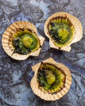 Load image into Gallery viewer, Large Fresh Sea Scallops Alive - Pacific Wild Pick
