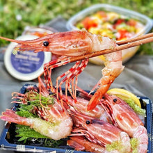 Load image into Gallery viewer, Live BC Spot Prawns 2024 - Pacific Wild Pick