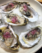 Load image into Gallery viewer, Live Malpeque Oysters in Shell - Pacific Wild Pick