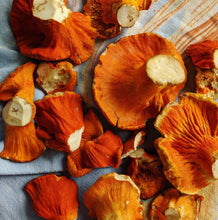 Load image into Gallery viewer, buy lobster mushrooms