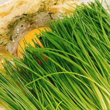 Load image into Gallery viewer, Menegi Nigiri Sushi - Pacific Wild Pick