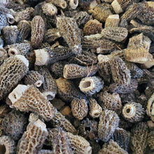 Load image into Gallery viewer, Morel Mushroom Wild Pick.