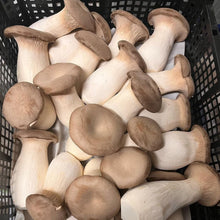 Load image into Gallery viewer, try mushrooms