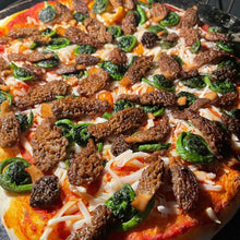 Load image into Gallery viewer, Oregon Morel Mushrooms- Fresh - Pacific Wild Pick