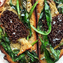 Load image into Gallery viewer, Oregon Morel Mushrooms- Fresh - Pacific Wild Pick